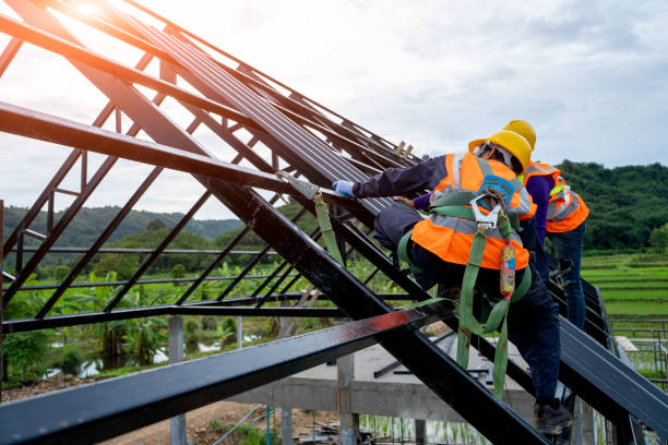 Professional Roofing Contractor in Highlands Ranch, CO